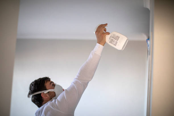Best Home Mold Removal  in Lebanon, VA